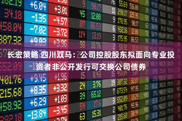 长宏策略 四川双马：公司控股股东拟面向专业投资者非公开发行可交换公司债券