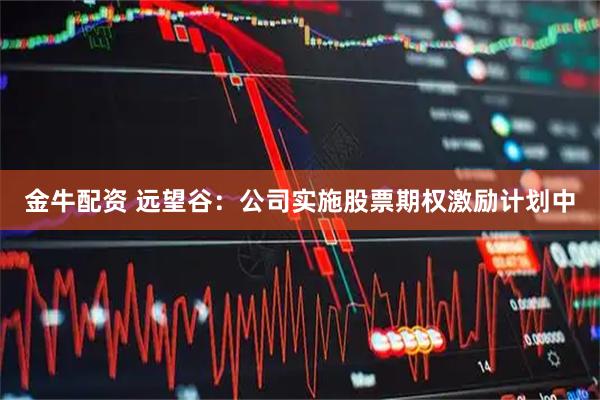 金牛配资 远望谷：公司实施股票期权激励计划中