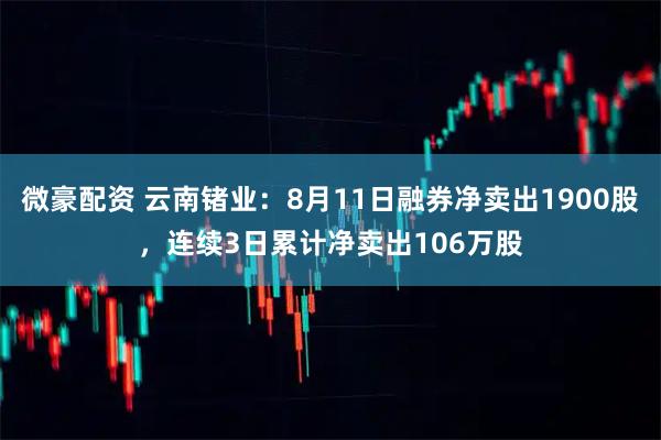 微豪配资 云南锗业：8月11日融券净卖出1900股，连续3日累计净卖出106万股