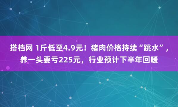 搭档网 1斤低至4.9元！猪肉价格持续“跳水”，养一头要亏225元，行业预计下半年回暖
