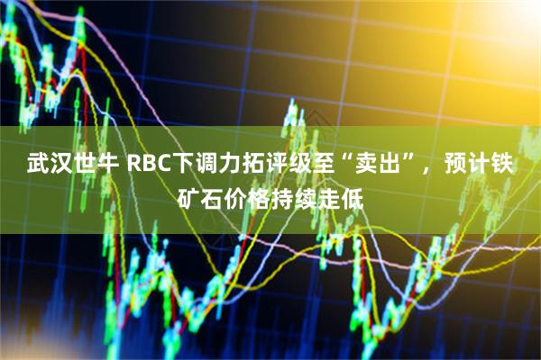 武汉世牛 RBC下调力拓评级至“卖出”，预计铁矿石价格持续走低